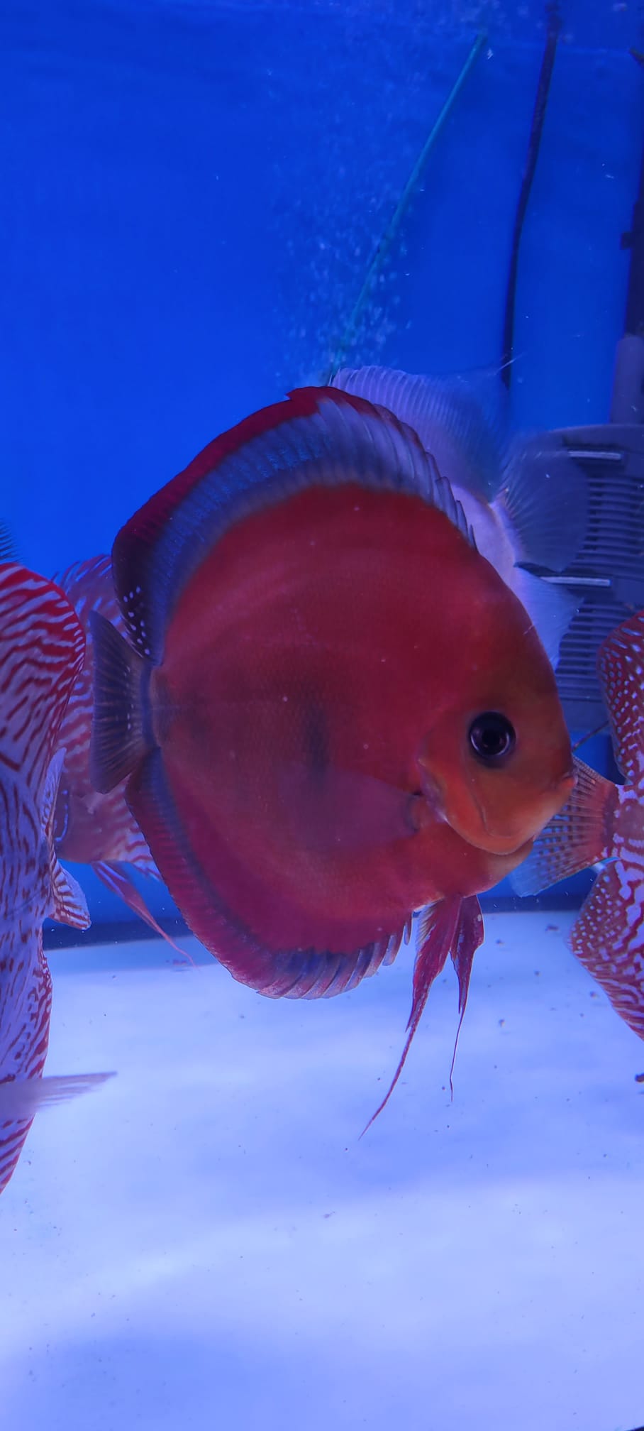 Imagen de WhatsApp 2024-02-20 a las 19.56.51_0bc0d0c2