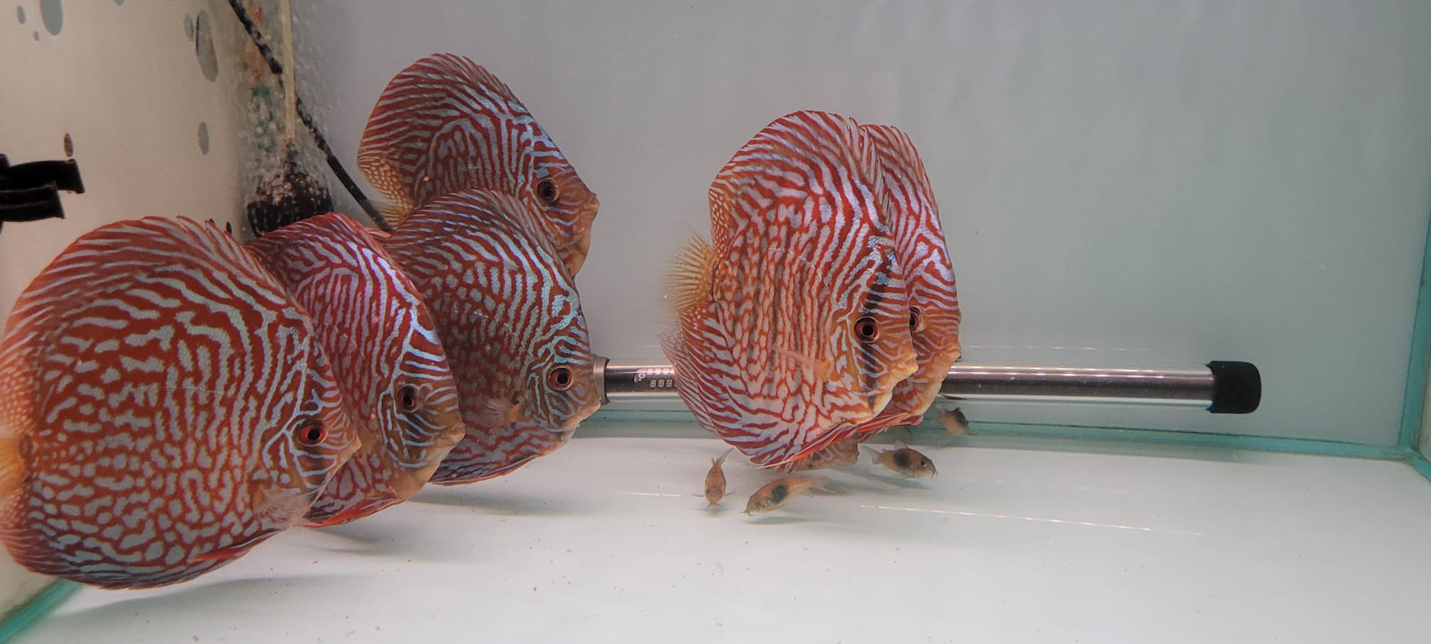 Imagen de WhatsApp 2024-03-04 a las 13.27.45_5afc5757