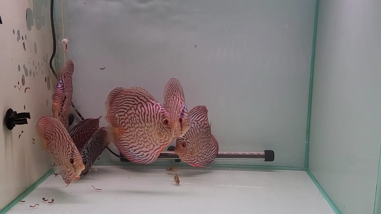 Imagen de WhatsApp 2024-03-04 a las 13.27.45_a5c5c824