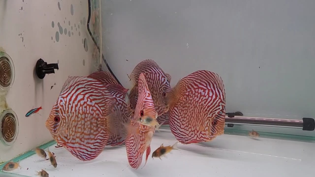 Imagen de WhatsApp 2024-03-04 a las 13.27.45_dbbb29fc