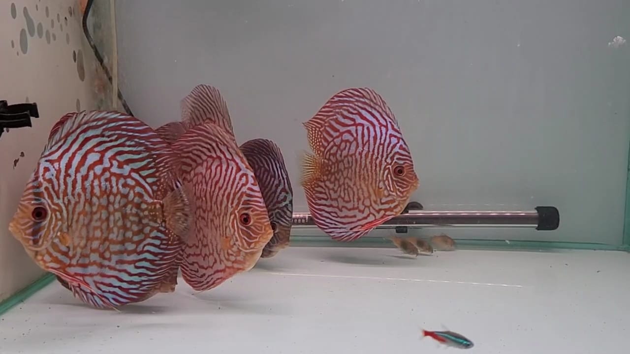 Imagen de WhatsApp 2024-03-04 a las 13.27.46_8dfc0aa0