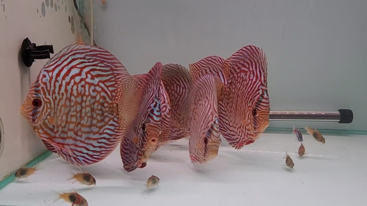 Imagen de WhatsApp 2024-03-04 a las 13.27.46_f9080432