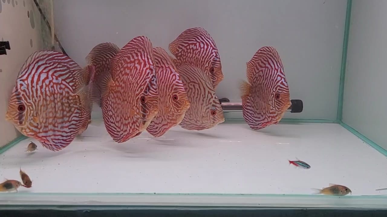 Imagen de WhatsApp 2024-03-04 a las 13.27.47_00928b34