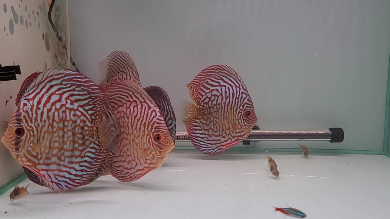 Imagen de WhatsApp 2024-03-04 a las 13.27.47_f8506513