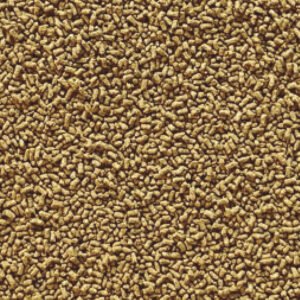 dp177a2-pellets-para-peces-tropicales-insect-superfood-1-2-mm_detalle_12086-300x300