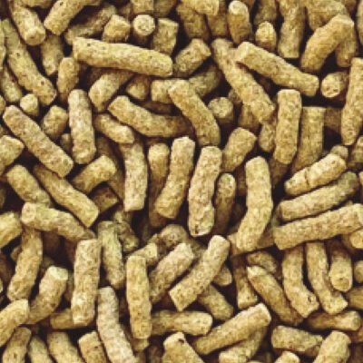 dp321d2-sticks-para-peces-de-estanque-insect-superfood_detalle_12057-400x400