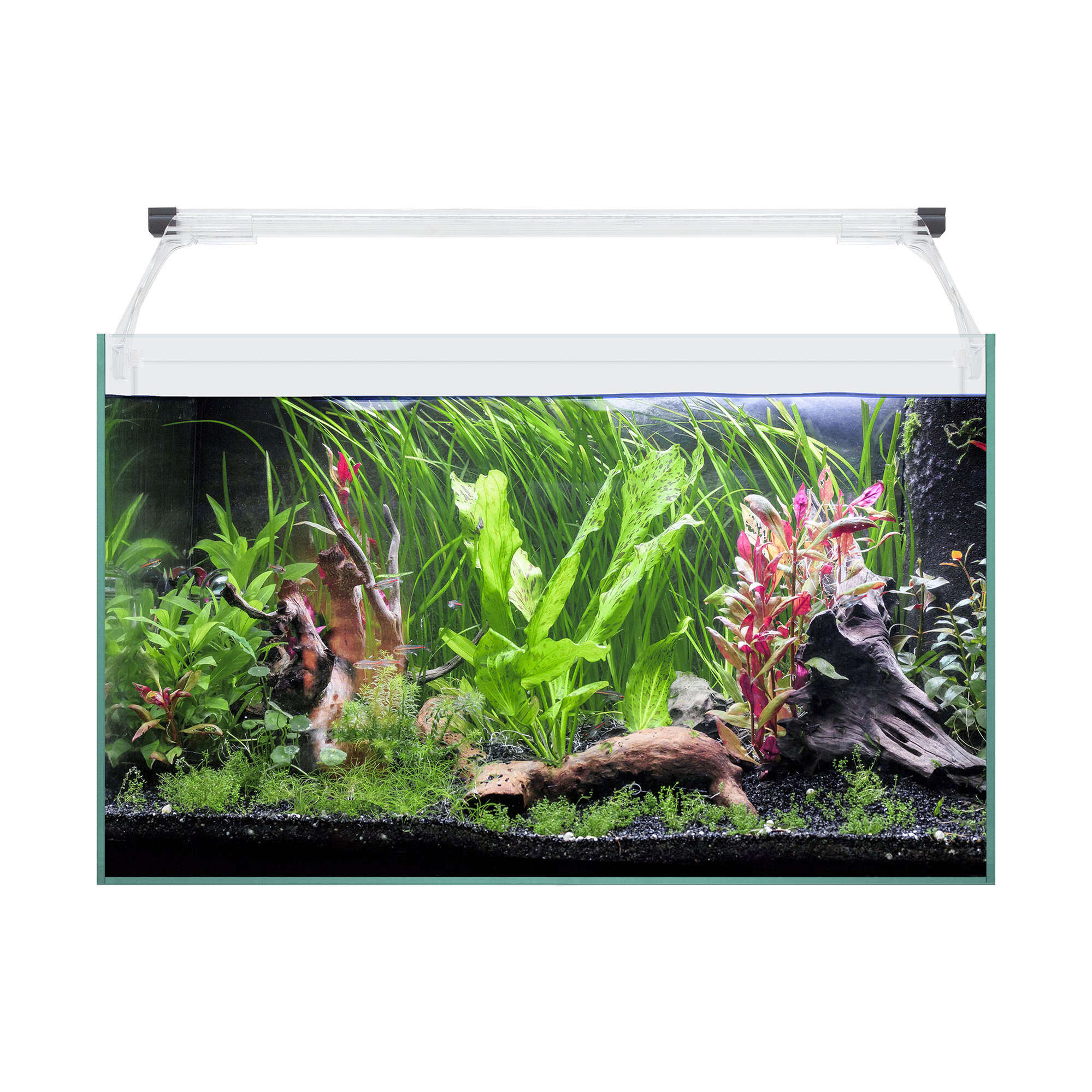 kali50-kit-aqua-light-glass-50-41-l_general_12211